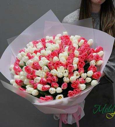 Букет из белого и розового тюльпана (ПОД ЗАКАЗ, 10 дней) Фото 394x433